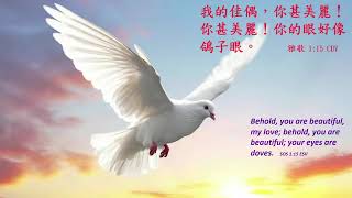 2025_7_15 等候神聚會 Wait Upon God Service 「新婦全心注視的愛雅歌1:15」