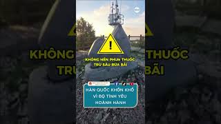 Dân Hàn Quốc khốn khổ vì 'bọ tình yêu' hoành hành  #tintuc #Duhochanquoc