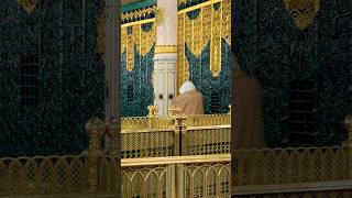 Riyaz ul Jannah in Madina🙌🌹#madina #love #prophet #muhammadﷺ #salam #ytshorts #shorts #viralshorts