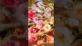 🌹Jumma Mubarak🌹|Jumma Special| Danish & Dawar Voice|#shortsvideo #viralvideo
