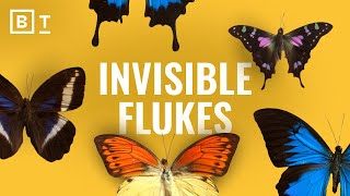 Everything does NOT happen for a reason | Brian Klaas