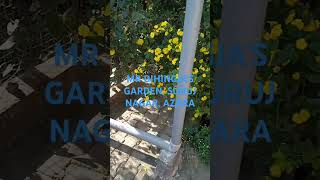 #homegardening #kitchengarden #trending #youtubeshorts #ecorevolution #organicfarming #travelassam