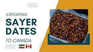 Exporting Pitted Sayer Dates to Canada
