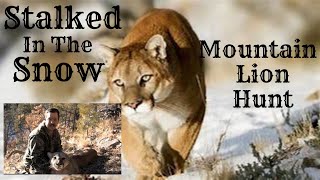 Stalked in the Snow - Mountain Lion Hunt.