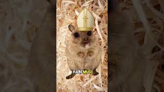 New Pope! HABEMUS PAPAM! #HabemusPapam #NewPope #Pope2025 #pope #ViralShorts #TrendingNow