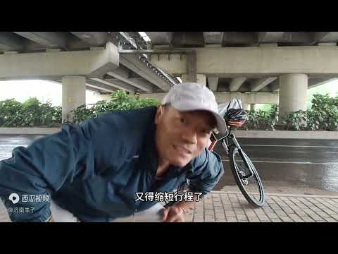 别被导航软件误导，自行车、行人能上高速过长江，不坐轮渡还免费