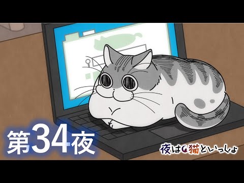 アニメ『夜は猫といっしょ』第34夜「キーボードの上のネコ」