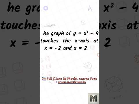 What Does a Zero of a Polynomial Mean? 🤔 | y = x² – 4 | Class 10 Maths | Minelearn