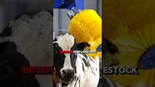 Unbelievable Cow Machines | The FUTURE of Farming Revealed!