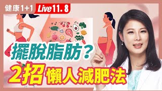 「五種肥胖類型＋減肥法」！你是壓力型還是水腫型 |（11.08.2022） 健康1+1 · 直播