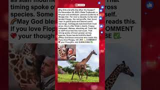 Giraffe’s Loss Breaks Zoo Hearts!