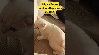 #SelfCareRoutine #CuddleTime #CatLife #MomHugs #PamperedCat #GroomingSession #LoveAndClean#LovePets