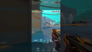Surgical Aim