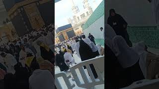 #umrah2024 #madeenah #madeenamunawra #madeen#makkahmadeena#islamicscholar#islamic