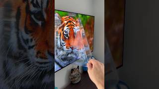 LG OLED55C36LC, 55 inch, OLED, 4K UHD, Smart TV #lgtv #lgoled #oledtv #lgelectronics #lglifesgood