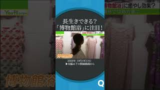 心の癒しに博物館浴#shorts