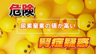 尿素窒素が高い