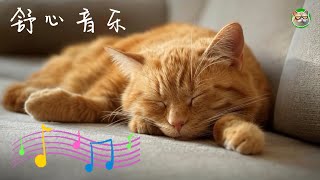 【 舒心音乐 01 放松疲劳 缓解压力 】#疗愈音乐 #钢琴音乐