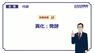 【高校生物】　代謝16　異化：発酵（１４分）