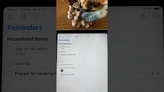 Rearranging tasks in the iPad Reminders app #ipados18