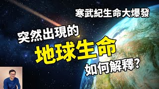 我們都是外星生命的證據？探秘詭異的寒武紀生命大爆發！【老肉雜談】