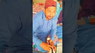 Subhanallah New Short Video Dargah Fatehpur Sharif #sufisongs #viral #song #sufikalam #sufi #music