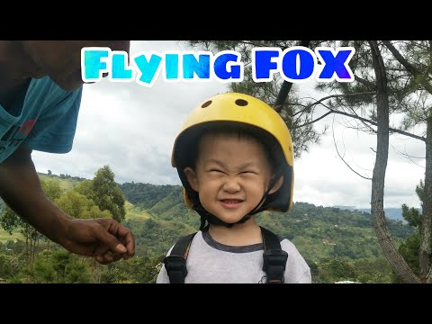 Mario Time, first flying fox