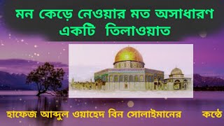 অসাধারণ ।। একটি তিলাওয়াত ।। হাফেজ আব্দুল ওয়াহেদ বিন  সোলাইমামান ।