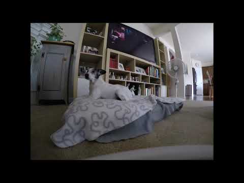 Abby gets afternoon energy boost