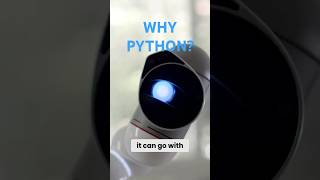 Why Python Is Such a Popular Programming Language! 🐍💻