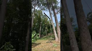 #arborist #automobile #treecuttingdown #tree #arboristing #certifiedarborist #chainsawstihl