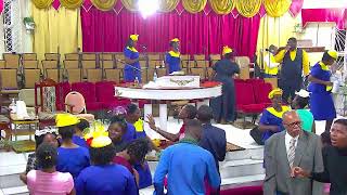 BTA Live Stream