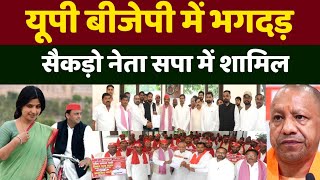 यूपी बीजेपी में भगदड़ |  सैकड़ों नेता सपा में शामिल | अखिलेश डिंपल यादव की लहर