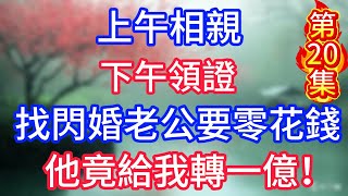 第二十集：上午相親，下午領證，找閃婚老公要零花錢，他竟給我轉一億！