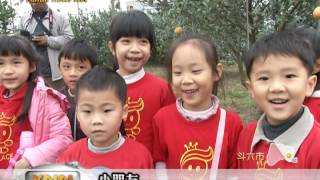 雲林新聞網-斗六學童逛茂谷柑園