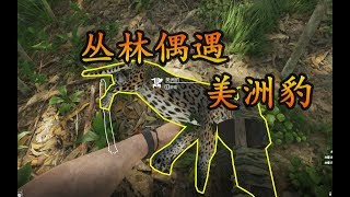 绿色地狱4期：去制作死藤水的路上！竟然偶遇美洲豹？
