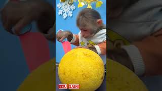बंदर🙉 ने निकला फलो🎃🍇 का जूस🍷#monkey #shortsvideo #bisusaini