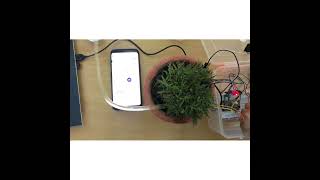 Smart Agriculture and Monitoring System