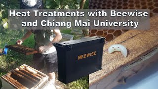 Update 16: Dr. Rogan Tokach on Heat Treatments with Beewise and Chiang Mai University