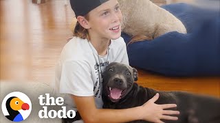Boy Begs His Mom To Keep The Dog They Rescued From The Street | The Dodo