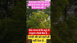 funny 🤣🤣#comedy #harvarvardhan #jokes #radhekrishna