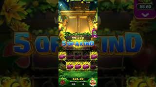 jungle delight high betting game play full risky 😲🤑 #567solt #slot #gameapp #games #mobileapp #gami