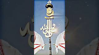 #hussain  #amazing #follow4follow#allshots #follow4follow #like4like #love #tweegram