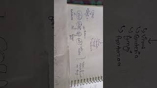 #coqp06 #b.ed.science #cuetexam2025 #cuetpg #cuetexamtips #pyqs