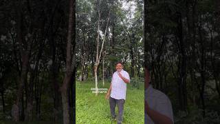Super house plot for sale in Malappuram district #propertyforsaleinkerala ￼