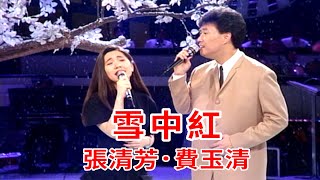 費玉清與張清芳  雪中紅