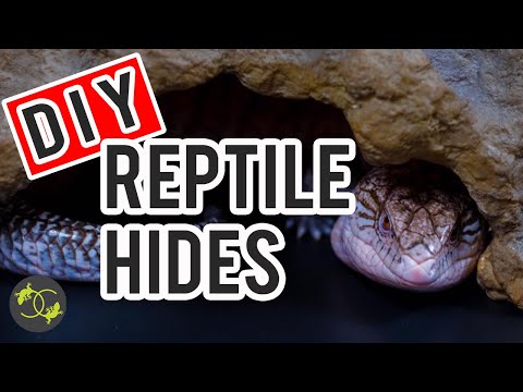 DIY Reptile Hides for UNDER $5 - Snakes and Skinks - Cookies Critters