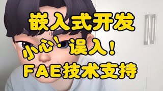 小心误入FAE岗位技术支持！嵌入式开发！