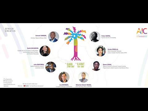 Africa in Colors August event, panel 1