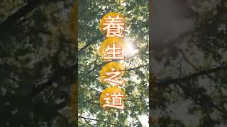 養生之道：三伏天保命五條，你一定要听！ #养生 #夏季養生 #中暑 #健康 #生活 #科普 #智慧 #疾病預防 #保健 #中國醫 #醫學 #自救 #經驗 #知識 #常識 #分享 #大全 #文化 #老年